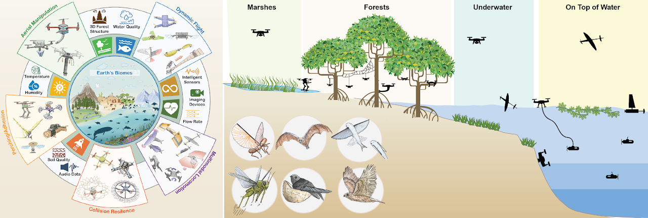 Research overview linking soft aerial robot capabilities with environmental applications, alongside an illustrated landscape of natural fliers and robots moving through air, land and water.